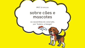 Read more about the article Sobre cães e mascotes #43: Denver Broncos